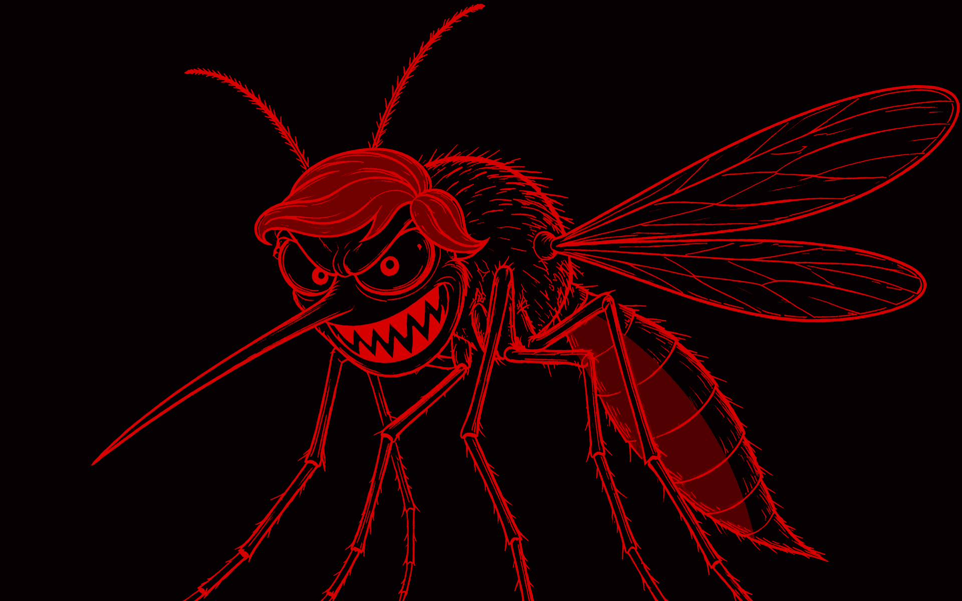 Mosquito Mosquito